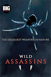 rfr_wild assassins